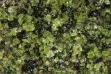 Peridot in Basalt - Arizona #324709-1